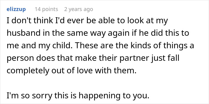A Reddit comment by elizzup, discussing a husband's failure to see his donor baby as his daughter, ruining his family.