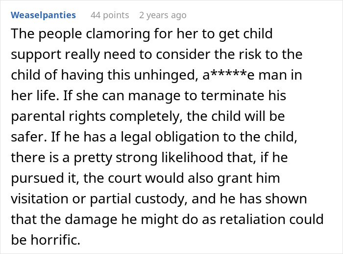 A Reddit comment by Weaselpanties, discussing the risks of a donor baby father's involvement. It highlights fears about an unhinged man.