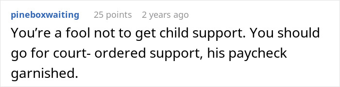A Reddit comment by "pineboxwaiting" advises getting court-ordered child support, hinting at a donor baby discussion.