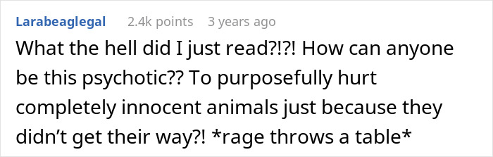 A screenshot of a Reddit comment expressing disbelief over a toxic mom's actions after her disruptive kid was nearly hurt.