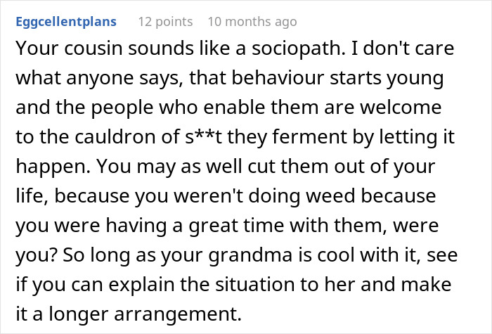 A Reddit comment advising to cut all contact with a cousin due to repeated lies and theft, calling them a sociopath.
