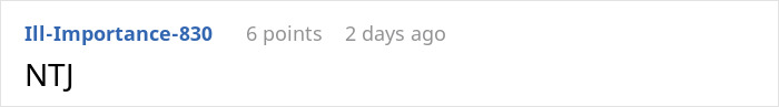 Screenshot of an online forum post showing a user's comment with the text NTJ, highlighting workplace conflict over a deleted project.
