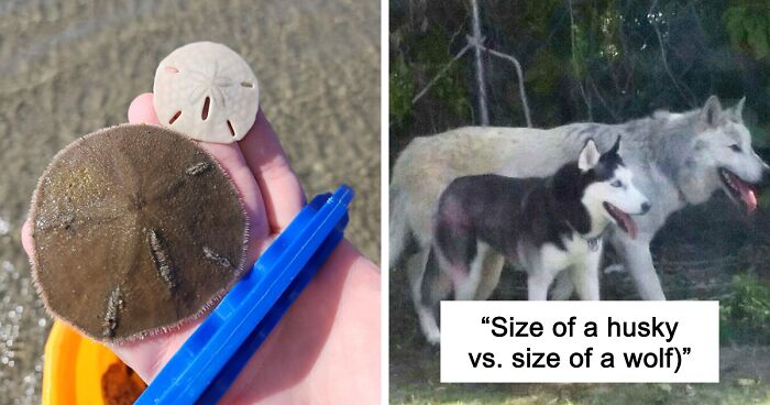 48 Side-By-Side Comparisons That Put The World Into Perspective (New Pics)