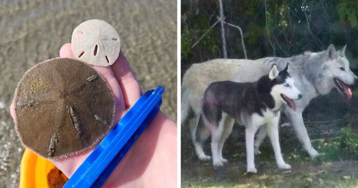 48 Side-By-Side Comparisons That Put The World Into Perspective (New Pics)