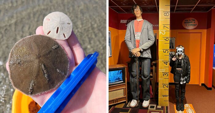 48 Side-By-Side Comparisons That Put The World Into Perspective (New Pics)