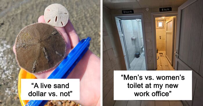 48 Side-By-Side Comparisons That Put The World Into Perspective (New Pics)