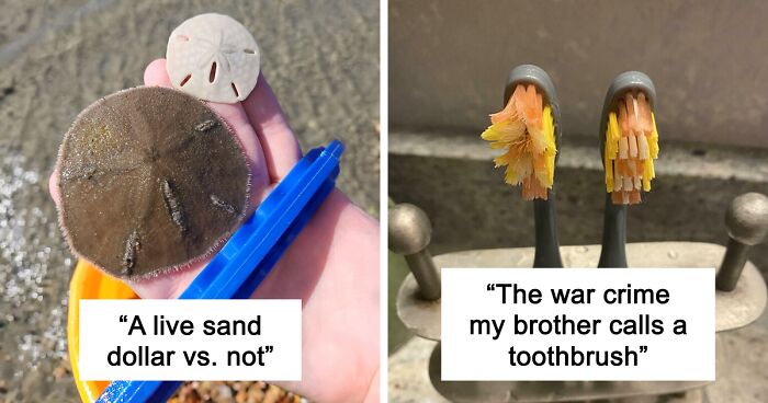 48 Side-By-Side Comparisons That Put The World Into Perspective (New Pics)