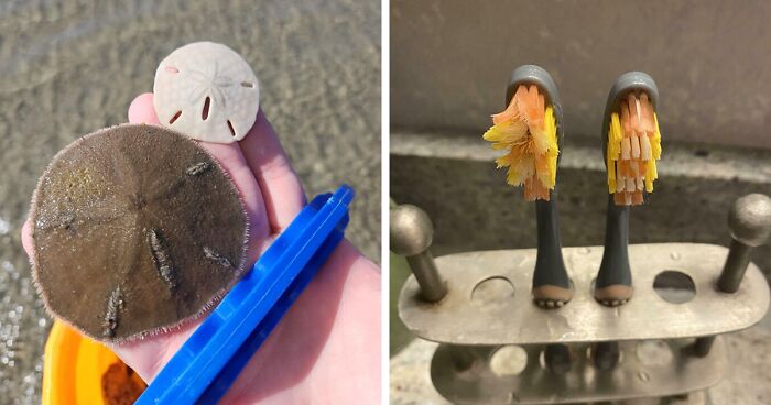 48 Side-By-Side Comparisons That Put The World Into Perspective (New Pics)