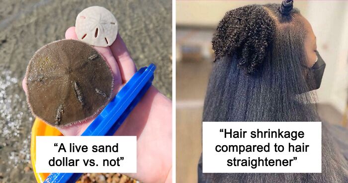 48 Side-By-Side Comparisons That Put The World Into Perspective (New Pics)