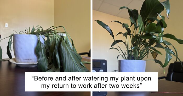 48 Side-By-Side Comparisons That Put The World Into Perspective (New Pics)