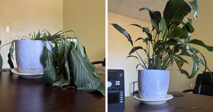 48 Side-By-Side Comparisons That Put The World Into Perspective (New Pics)