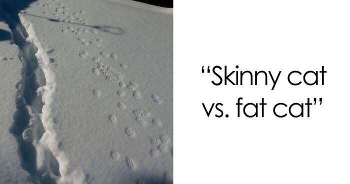 48 Side-By-Side Comparisons That Put The World Into Perspective (New Pics)