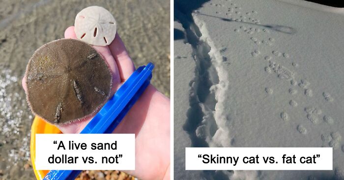 48 Side-By-Side Comparisons That Put The World Into Perspective (New Pics)