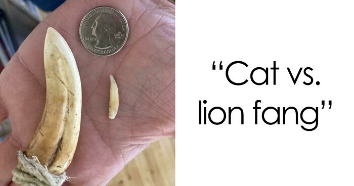 48 Side-By-Side Comparisons That Put The World Into Perspective (New Pics)