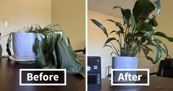 48 Side-By-Side Comparisons That Put The World Into Perspective (New Pics)