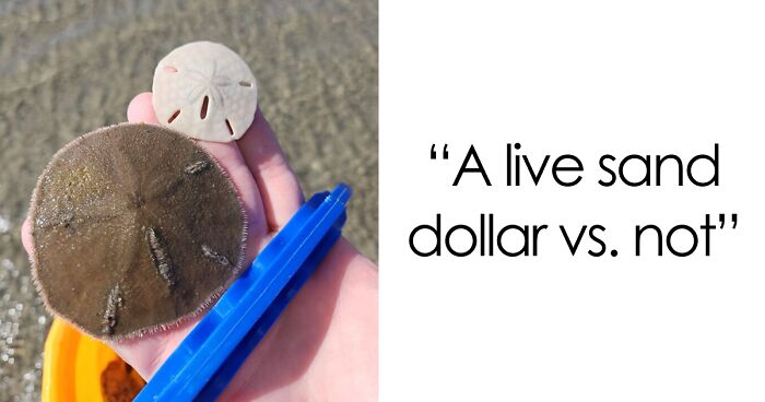 48 Side-By-Side Comparisons That Put The World Into Perspective (New Pics)