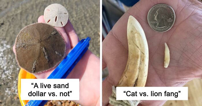 48 Side-By-Side Comparisons That Put The World Into Perspective (New Pics)