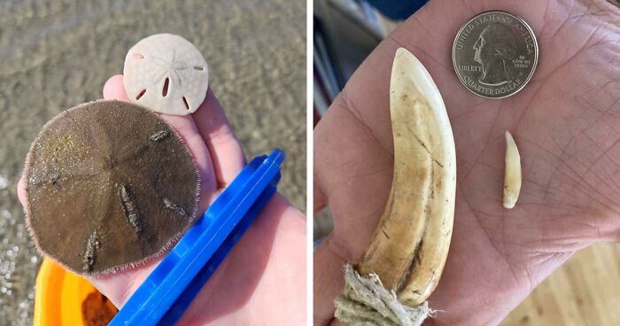 48 Side-By-Side Comparisons That Put The World Into Perspective (New Pics)