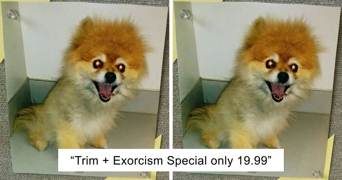 48 Side-By-Side Comparisons That Put The World Into Perspective (New Pics)