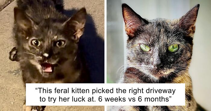 48 Side-By-Side Comparisons That Put The World Into Perspective (New Pics)