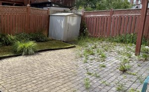 48 Side-By-Side Comparisons Nobody Asked But Most Were Fascinated By (New Pics)