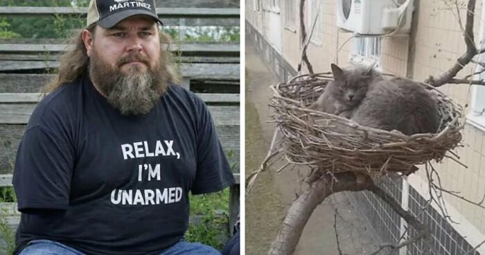 77 Weird Images That Made People Go “Hmmm” And Then Lived In Their Minds Rent-Free (New Pics)