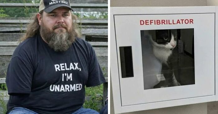 77 Weird Images That Made People Go “Hmmm” And Then Lived In Their Minds Rent-Free (New Pics)