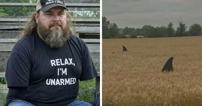 77 Weird Images That Made People Go “Hmmm” And Then Lived In Their Minds Rent-Free (New Pics)