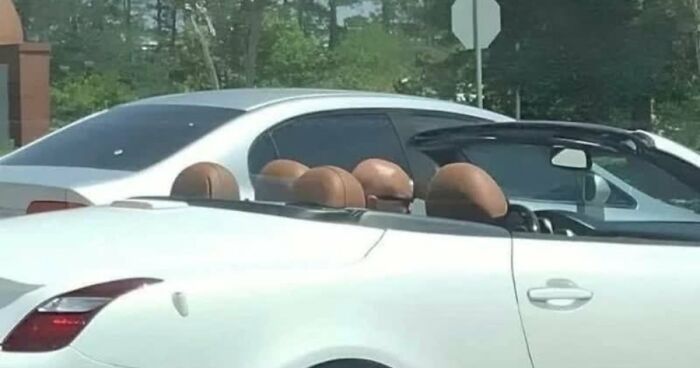 77 Weird Images That Made People Go “Hmmm” And Then Lived In Their Minds Rent-Free (New Pics)