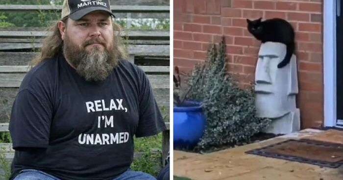 77 Weird Images That Made People Go “Hmmm” And Then Lived In Their Minds Rent-Free (New Pics)