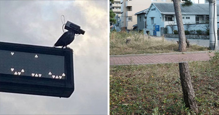 115 Misleading And Confusing Photos That Seem Like A Glitch In Real Life (New Pics)