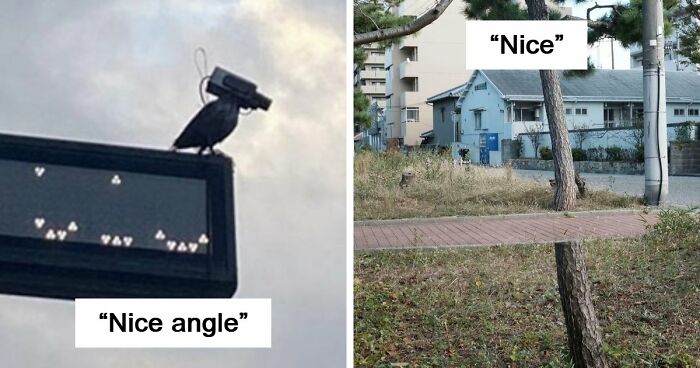 115 Misleading And Confusing Photos That Seem Like A Glitch In Real Life (New Pics)