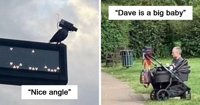 115 Misleading And Confusing Photos That Seem Like A Glitch In Real Life (New Pics)