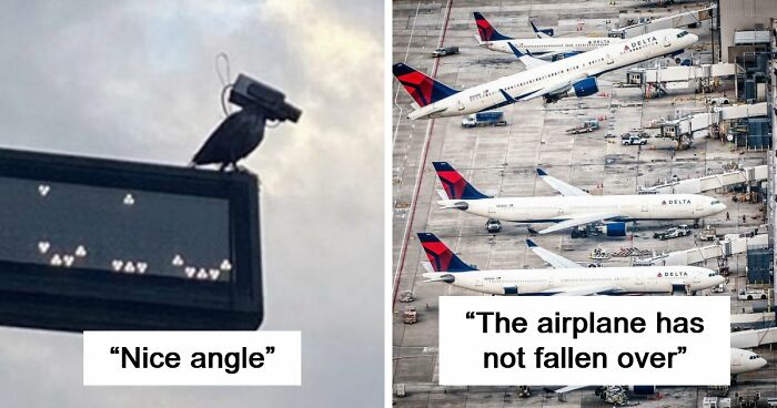 115 Misleading And Confusing Photos That Seem Like A Glitch In Real Life (New Pics)