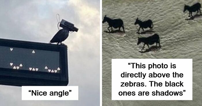 115 Misleading And Confusing Photos That Seem Like A Glitch In Real Life (New Pics)
