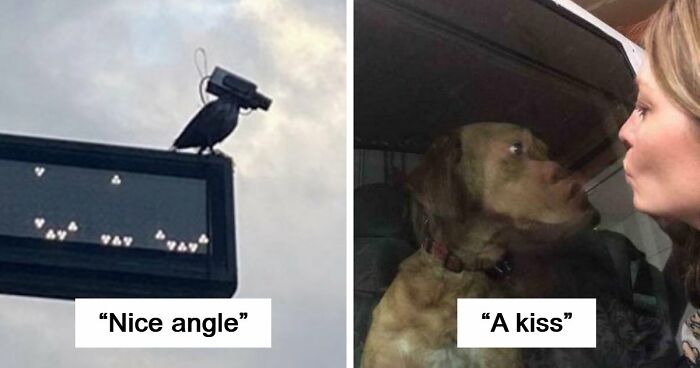 115 Misleading And Confusing Photos That Seem Like A Glitch In Real Life (New Pics)