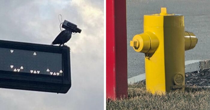 115 Misleading And Confusing Photos That Seem Like A Glitch In Real Life (New Pics)