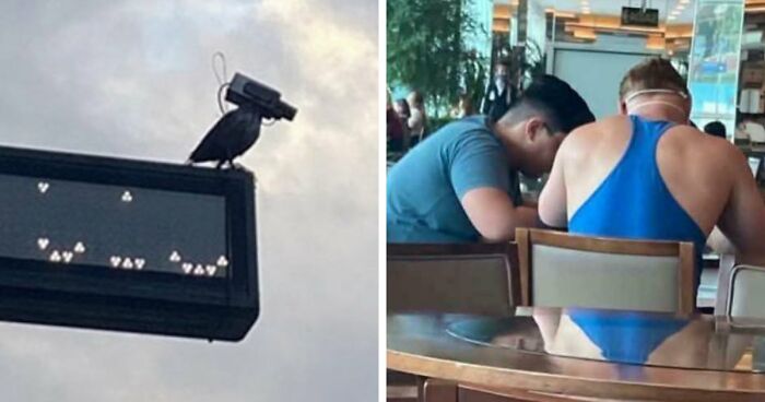 115 Misleading And Confusing Photos That Seem Like A Glitch In Real Life (New Pics)