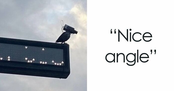 115 Misleading And Confusing Photos That Seem Like A Glitch In Real Life (New Pics)