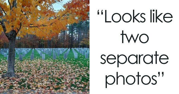 115 Misleading And Confusing Photos That Seem Like A Glitch In Real Life (New Pics)