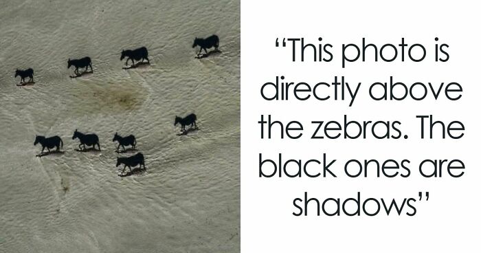 115 Misleading And Confusing Photos That Seem Like A Glitch In Real Life (New Pics)