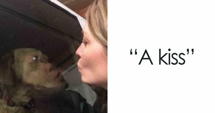 115 Misleading And Confusing Photos That Seem Like A Glitch In Real Life (New Pics)