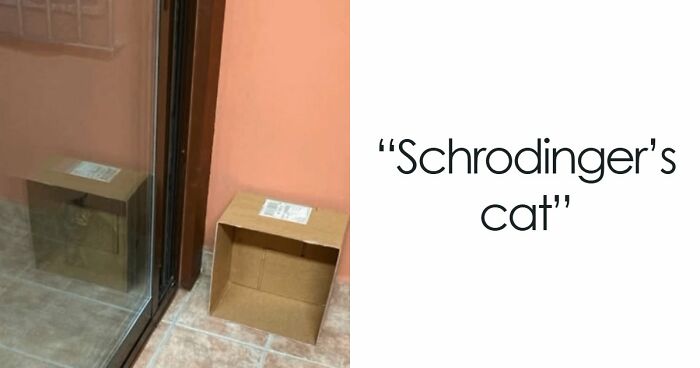 115 Misleading And Confusing Photos That Seem Like A Glitch In Real Life (New Pics)