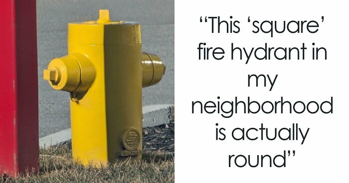 115 Misleading And Confusing Photos That Seem Like A Glitch In Real Life (New Pics)