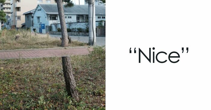 115 Misleading And Confusing Photos That Seem Like A Glitch In Real Life (New Pics)