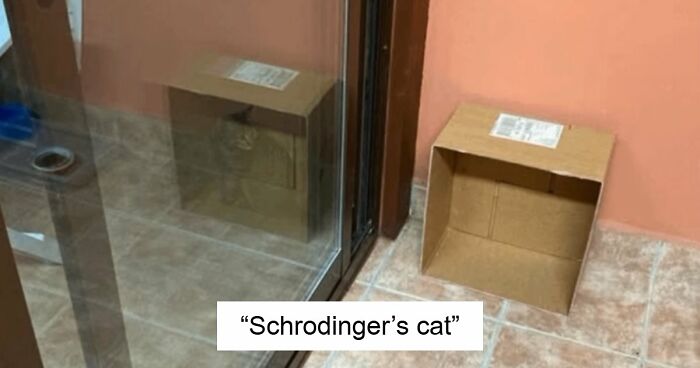 115 Misleading And Confusing Photos That Seem Like A Glitch In Real Life (New Pics)