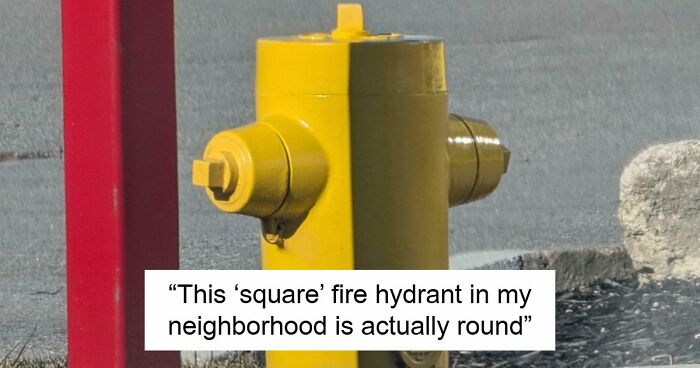 115 Misleading And Confusing Photos That Seem Like A Glitch In Real Life (New Pics)