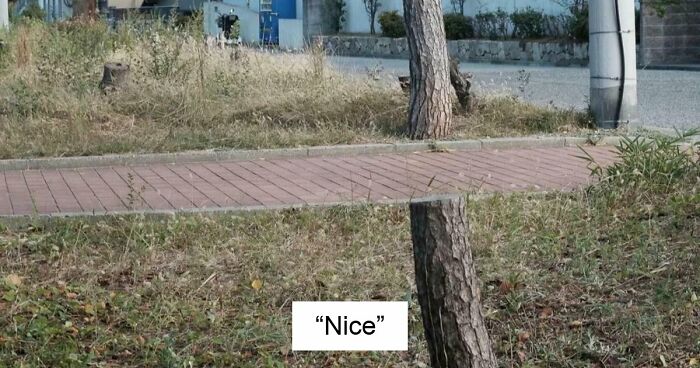 115 Misleading And Confusing Photos That Seem Like A Glitch In Real Life (New Pics)