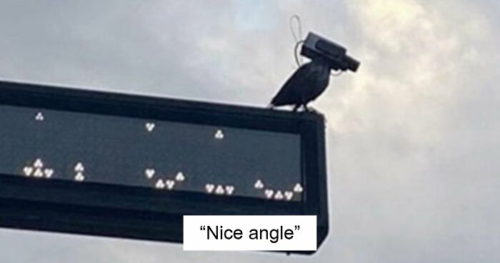 115 Misleading And Confusing Photos That Seem Like A Glitch In Real Life (New Pics)