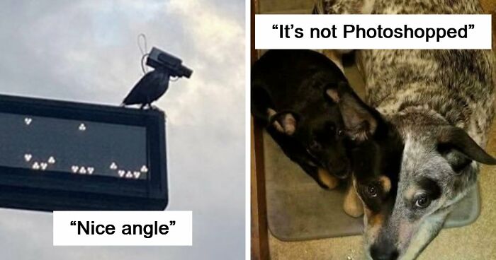 115 Misleading And Confusing Photos That Seem Like A Glitch In Real Life (New Pics)